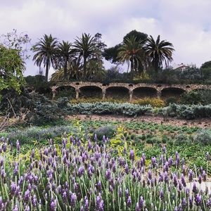 Meet your Posher, Landon